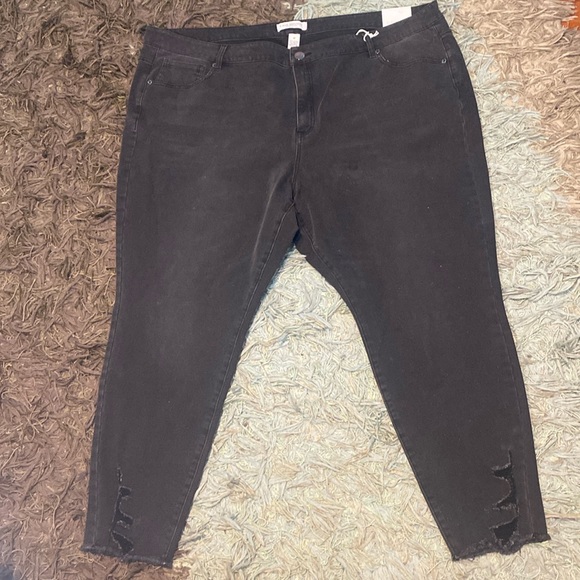 NWT LANE BYRANT ULTIMATE STRETCH ACIID COLOR BLACK JEANS - Picture 1 of 12